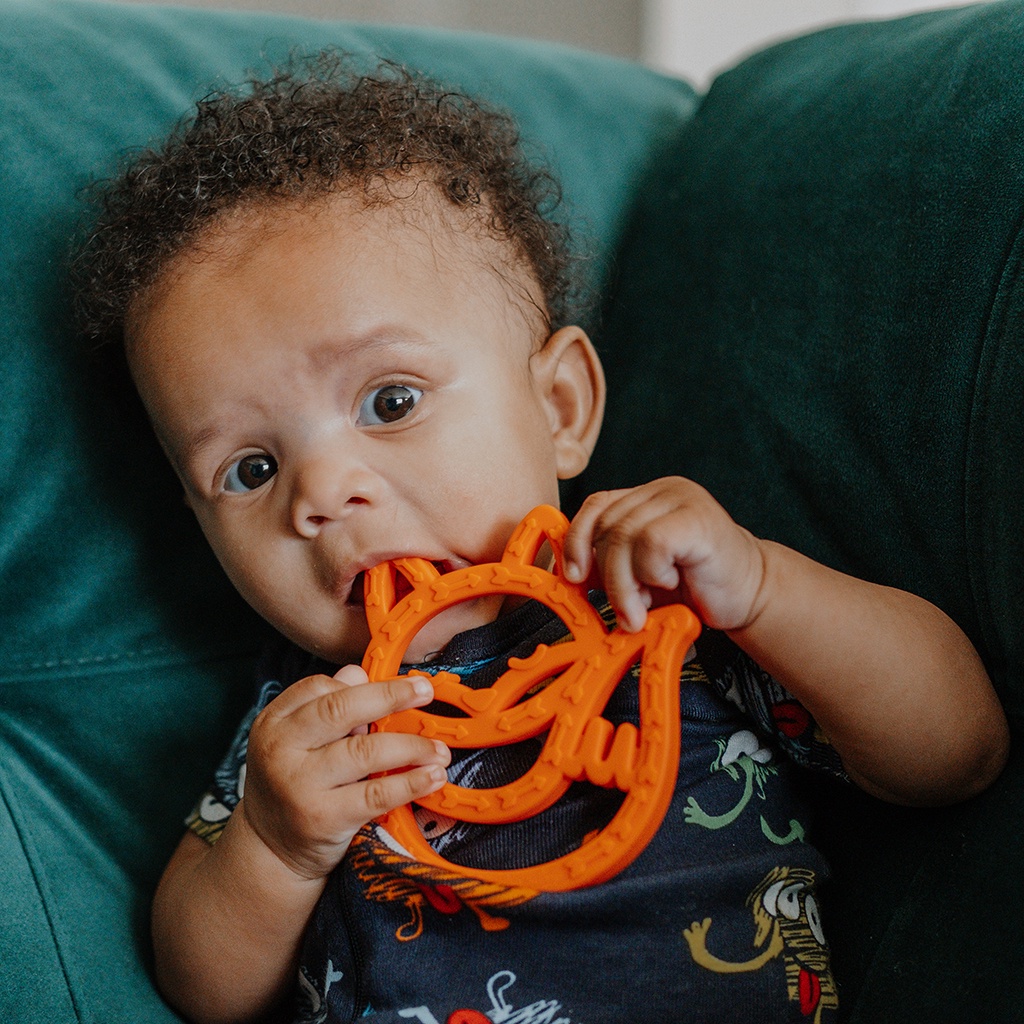 Itzy Ritzy Chew Crew Silicone Baby Teether | Gigitan Bayi Silikon