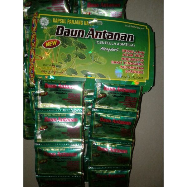 paket 100 hanger original Daun Antanan Kapsul