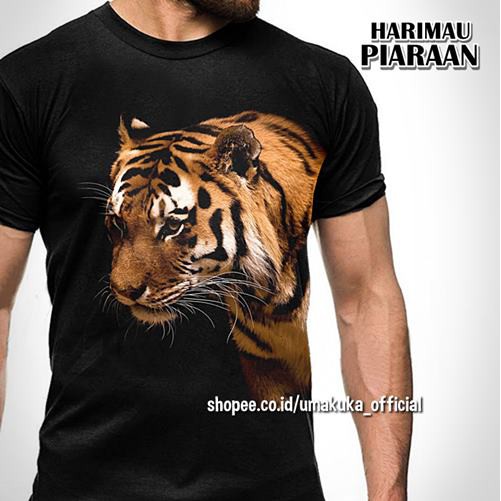 95 Gambar Harimau Elegant Gambar Pixabay 95 Gambar Harimau Elegant Gambar Pixabay