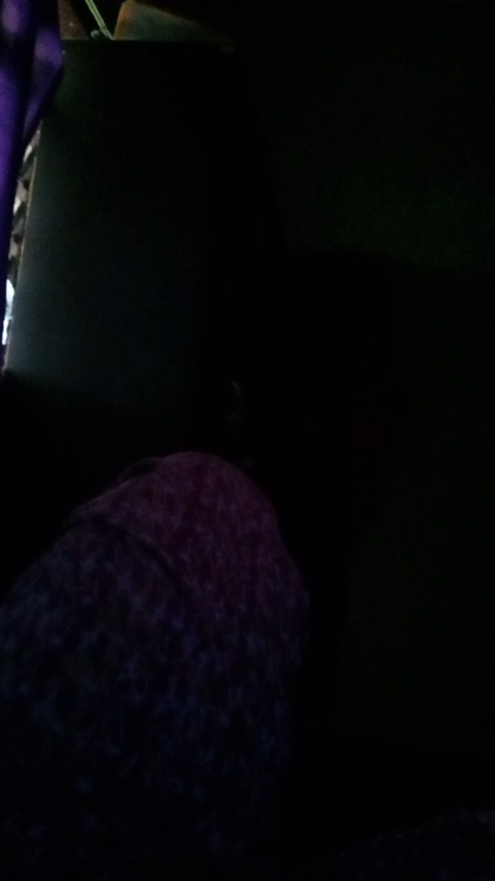 Sprayer 2 Liter Alat Semprot Semprotan Tanaman Hama Alat Mandi Burung