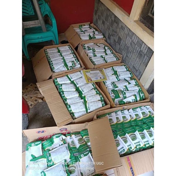 

umi green coffee