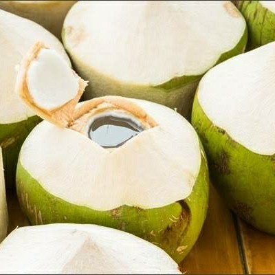 

TERSEGAR! BUAH KELAPA MUDA UTUH SEGAR