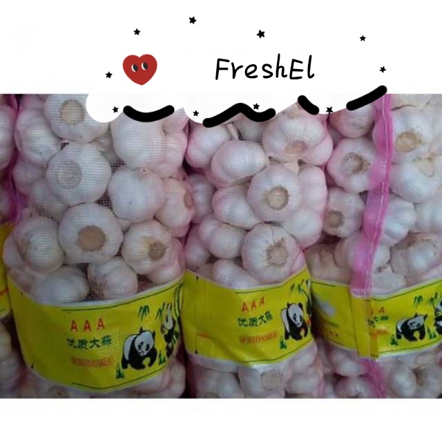 

FreshEl - BAWANG PUTIH KATING MURAH