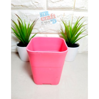  Pot  Kotak  SOFI 8 CM TEBAL Kaktus  Sukulen TOSCA PINK HITAM 