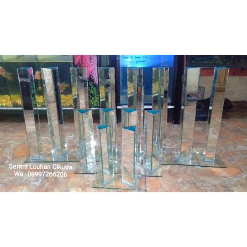 WRT Kaca Cermin untulan 25cm untuk ikan Louhan