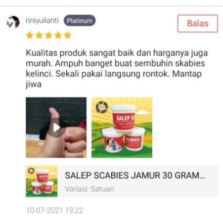 SALEP SCABIES JAMUR OBAT SCABIES KUCING KELINCI AMPUH