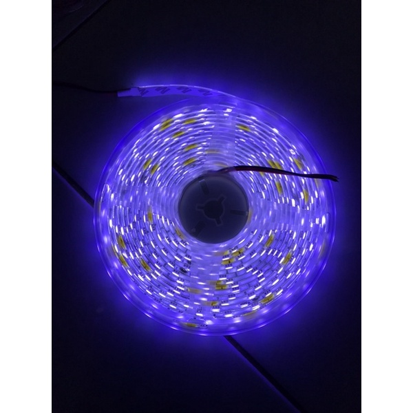 Lampu Led Strip Type IP65 2835 60 Led Roll 24Volt