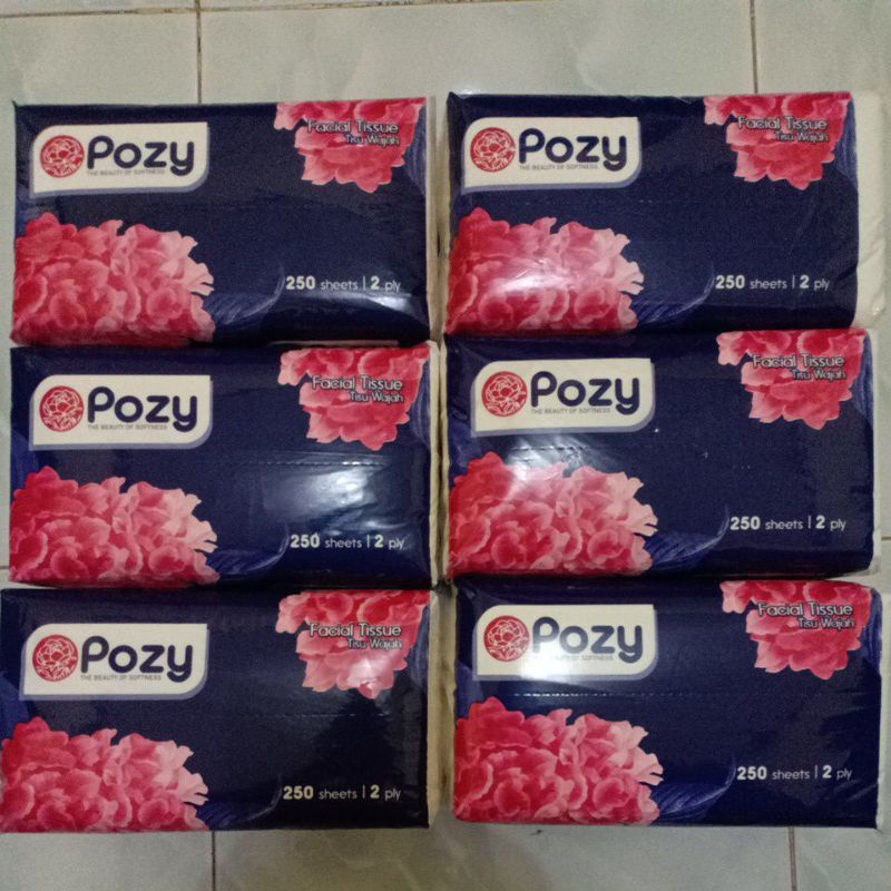 Tissue Pozy 250 sheets 2 Ply