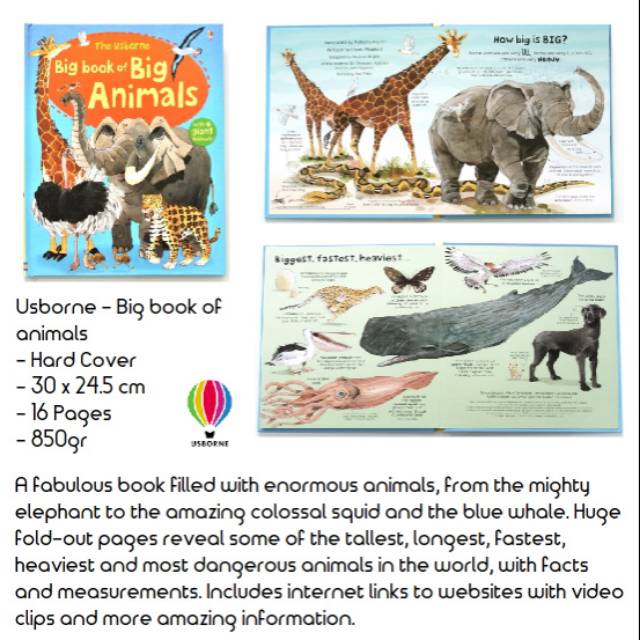 Big Book of Big Animals
