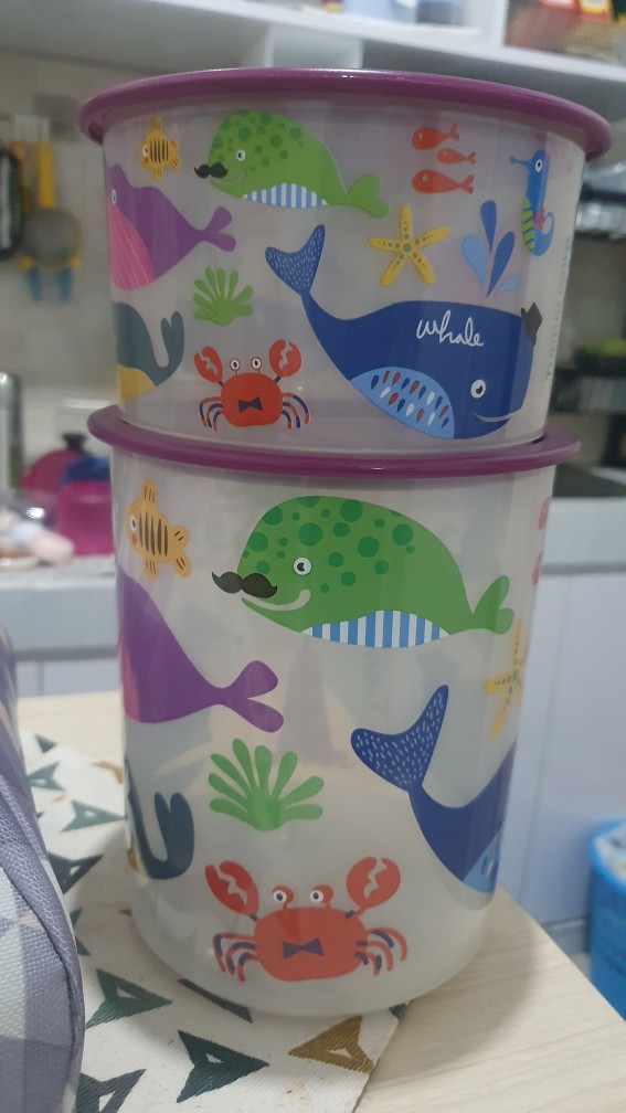 Nature Canister Set (2 Pcs) Toples Tupwr