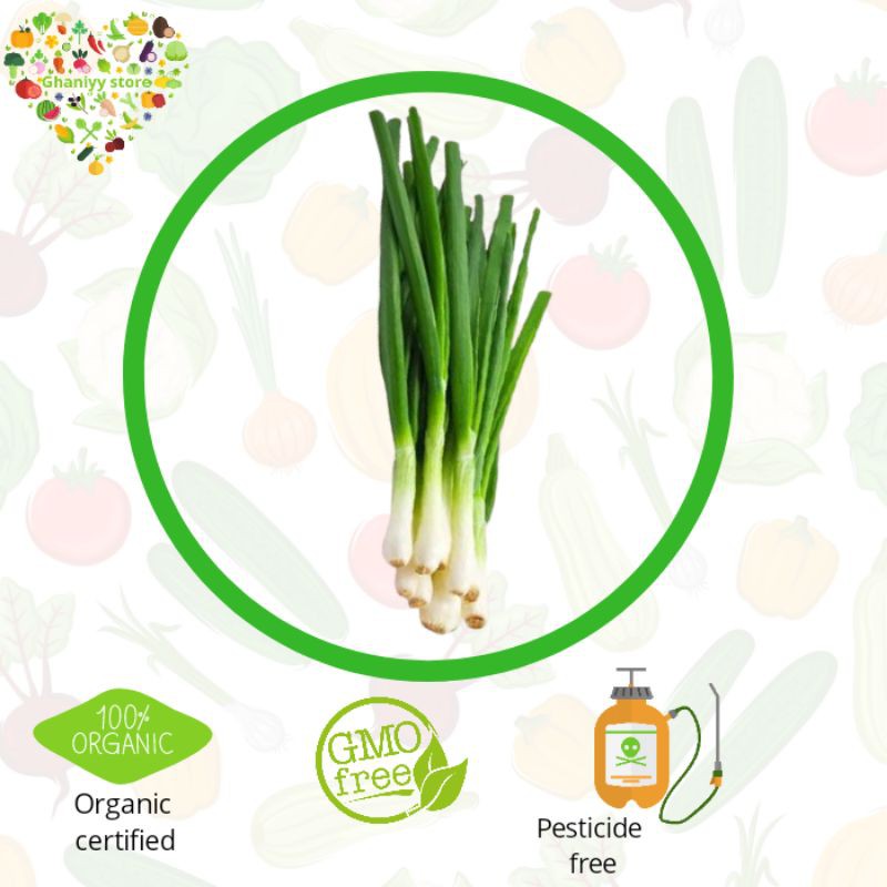 

sayur organik - daun bawang organik