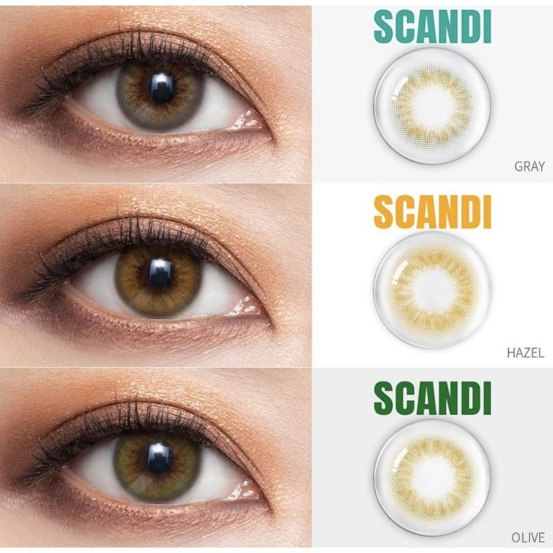 SOFTLENS SISSE LENS SCANDI GRAY/HAZEL/OLIVE NORMAL HINGGA MINUS 14.5mm softlens tanpa ring