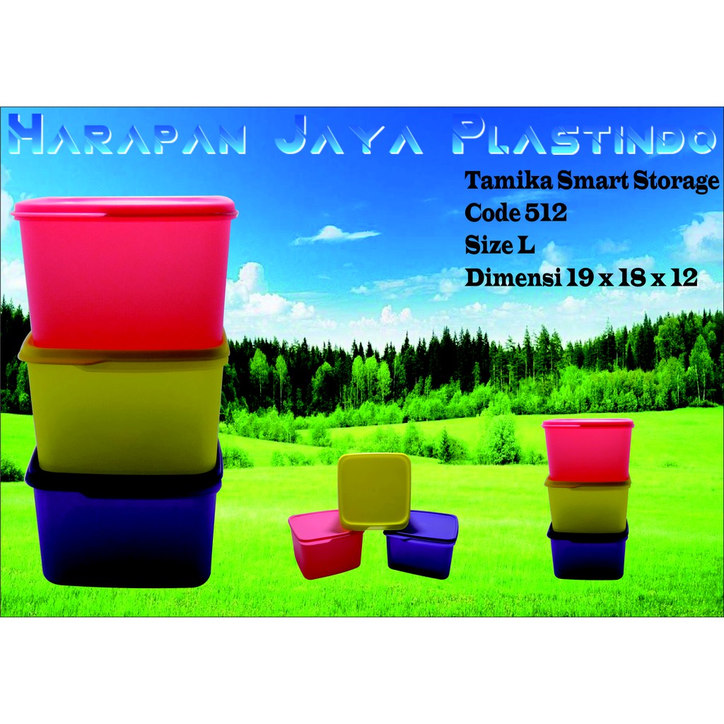 Tamika Smart Storage L Kotak Penyimpanan Makanan Es Krim Kue Sayur Buah Tahan Panas Murah Bandung