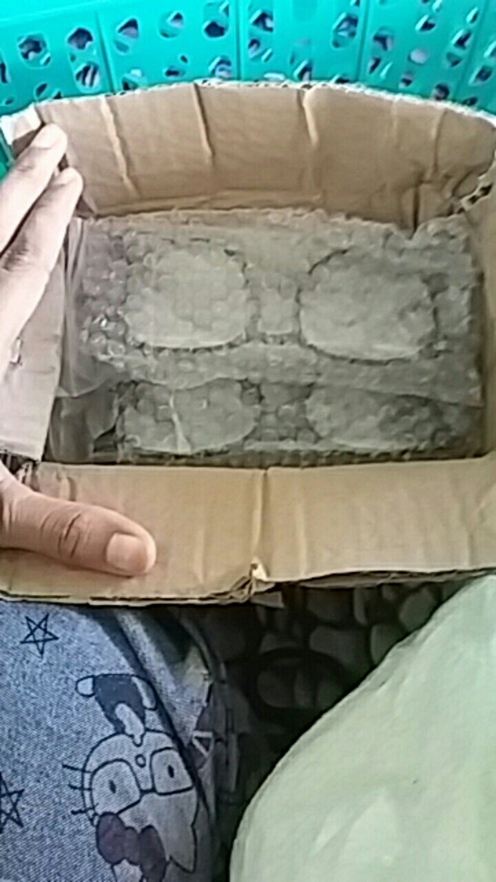 Kacemeta Hltem Wanite Kotak Ukuren Kecil Gaye Mate Kuceing Untuek Barbalik