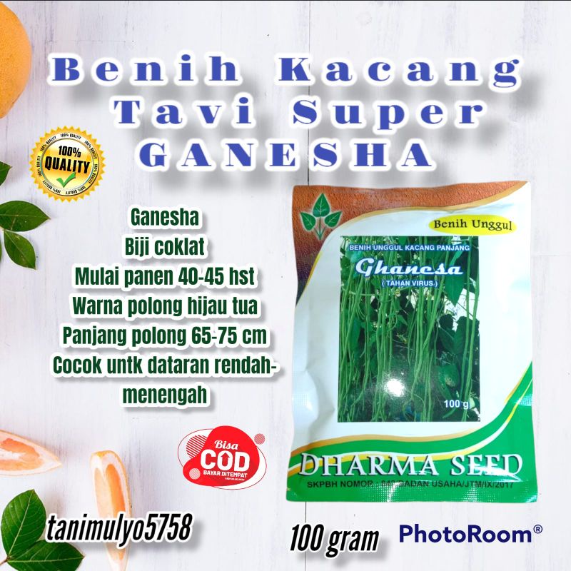 Benih KACANG PANJANG Super ARJUNO Kacang Super 100 gram