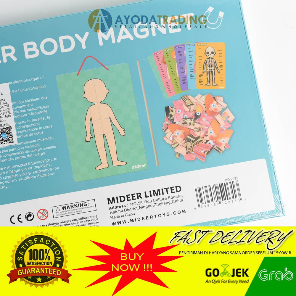 Mideer Body Magnet Body Parts Educational English Mandarin Toys