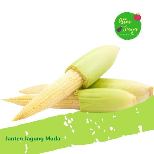 

Janten / Jagung Muda