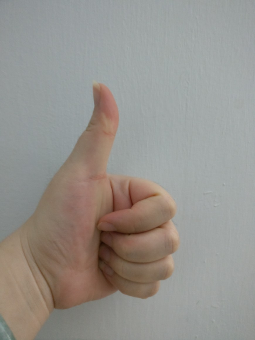 Bra Laundry Bag  Bh Underwear