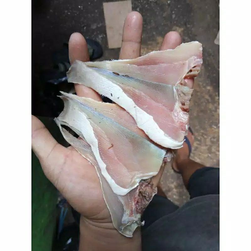 

Daging Ikan Asin Pari Belah Tipis Kering 1 Kg