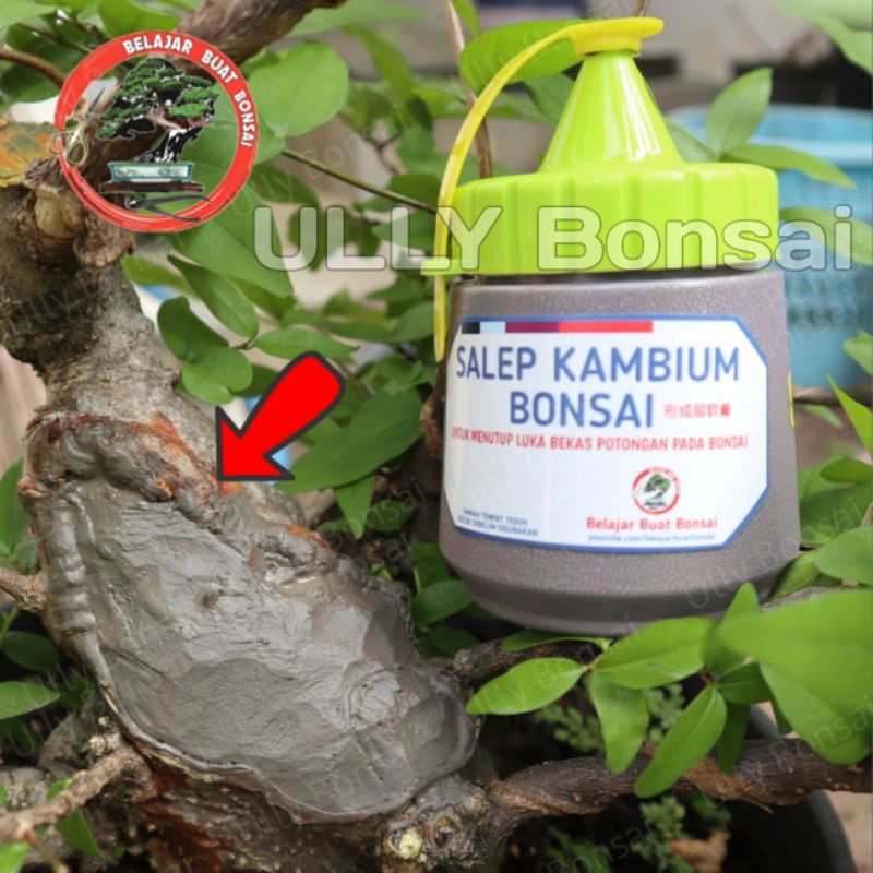 SALEP KAMBIUM IMPORT ASLI JEPANG ABU-ABU 200ml