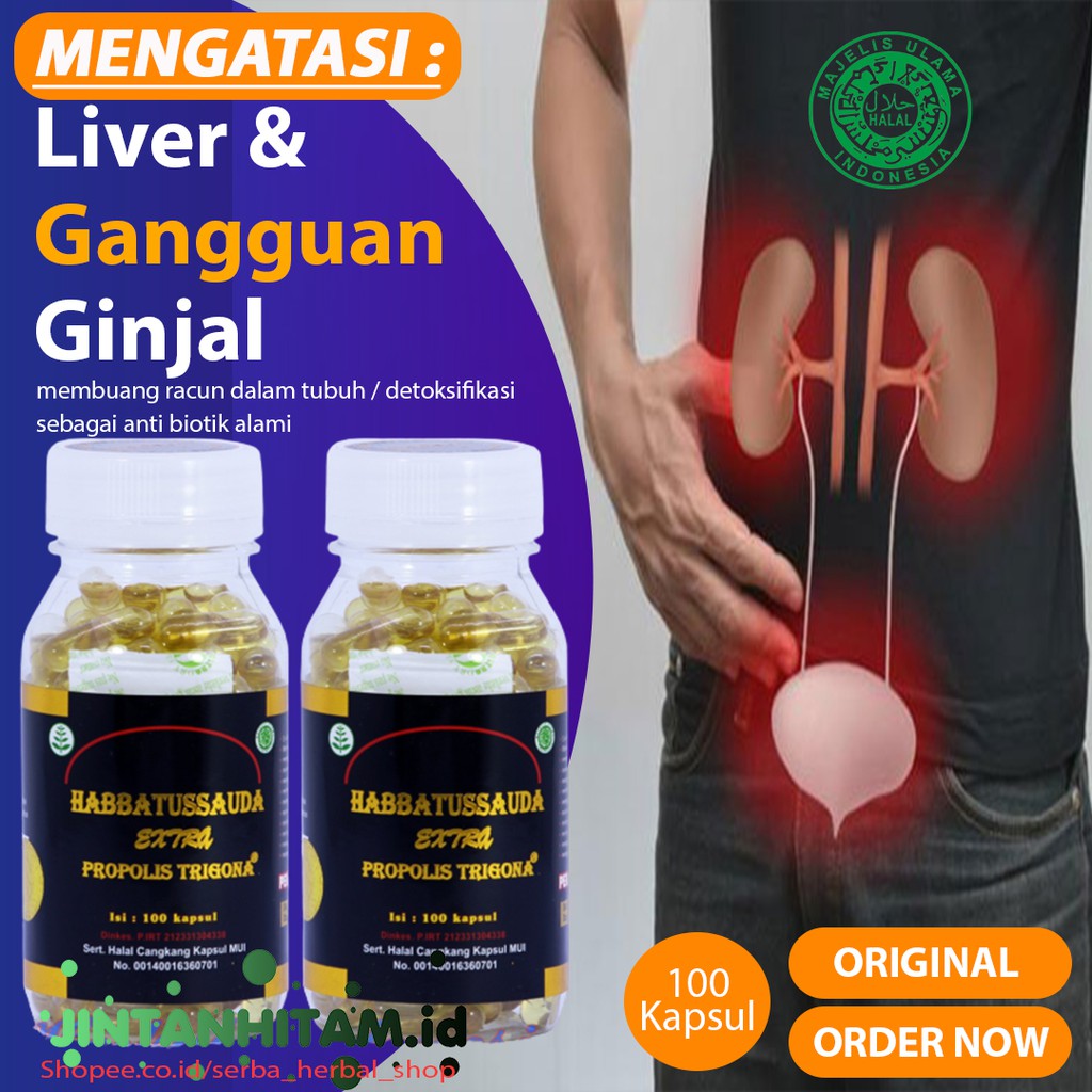 HABATUSAUDA HABBATUSSAUDA EXTRA PROPOLIS TRIGONA 100 KAPSUL SUPLEMEN VITAMIN OBAT GINJAL DAN LIVER