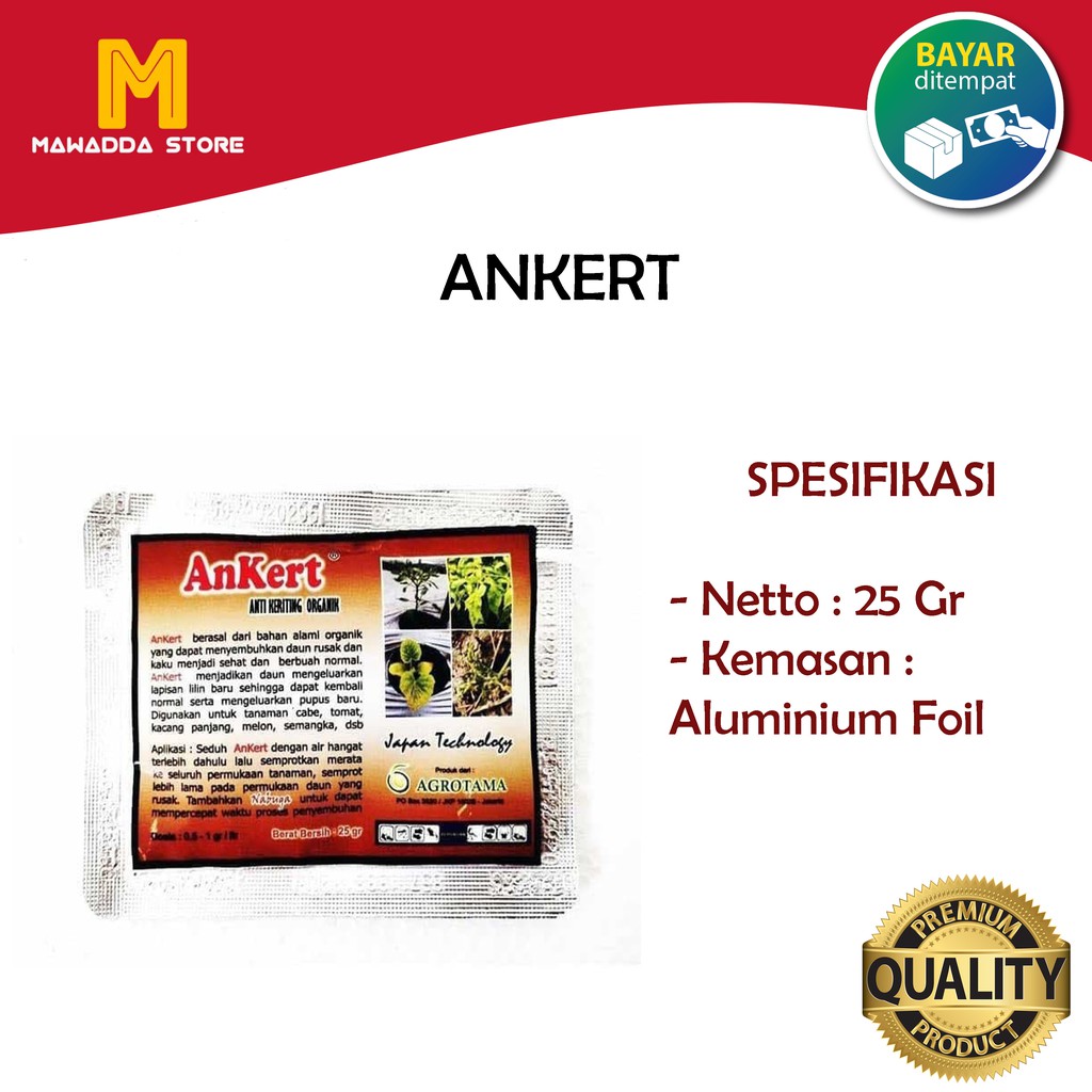 Anti Keriting Organik Ankert