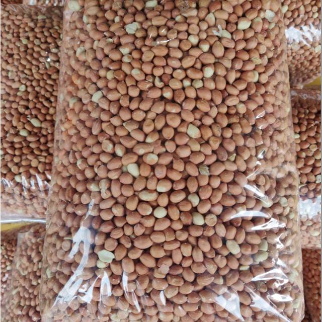 Harga Sekilo Kacang Tanah