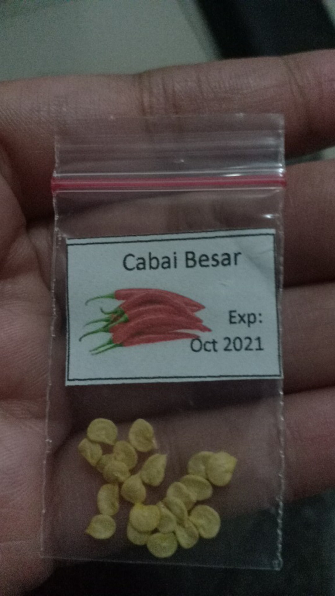 Isi 10 Biji- Benih Unggul Cabe/cabai Besar