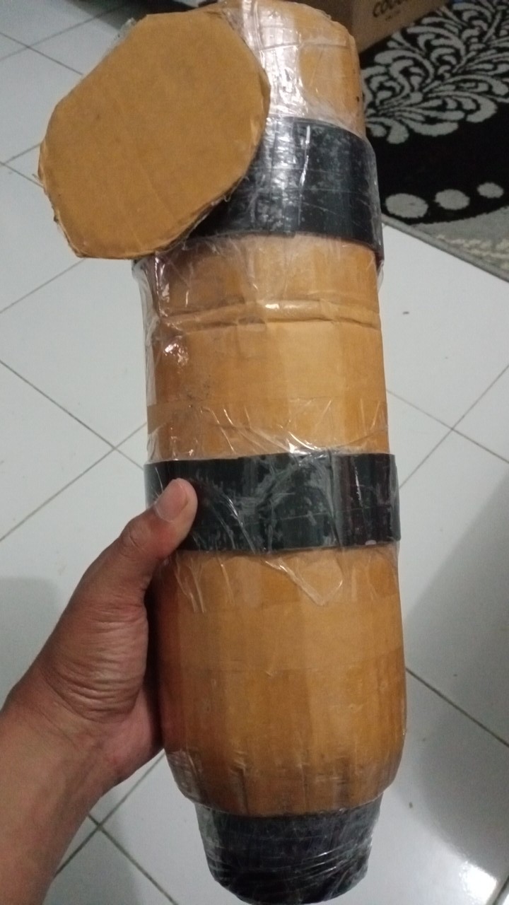 Tanaman Hias Aglonema Red Aurora / Aurora Merah / Siam Aurora