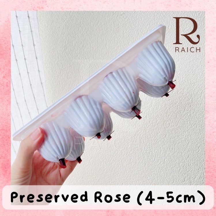 [8 Pcs/Box] Preserved Rose / Mawar yang Diawetkan