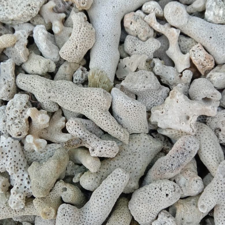 BATU KARANG JAHE 2KG MEDIA FILTER HIASAN AQUARIUM & KOLAM