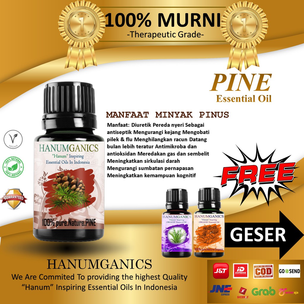 Hanumganics Herbal Pine Oil Minyak Daun Pinus 100% Murni Aromaterapi ...