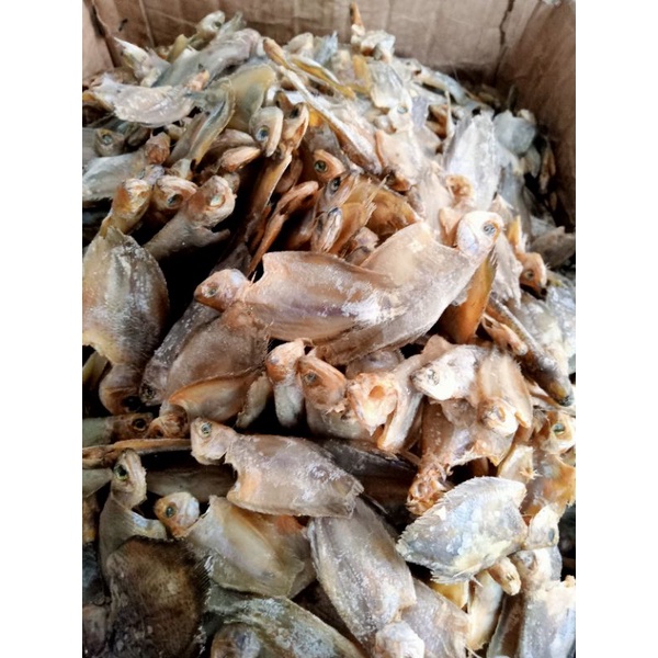 

ikan asin sepat rawa segar 500gr