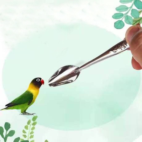 Sendok Makan Lolohan Baby Burung Parrot Lovebird Feeding Spoon Pet Bird FEFARM