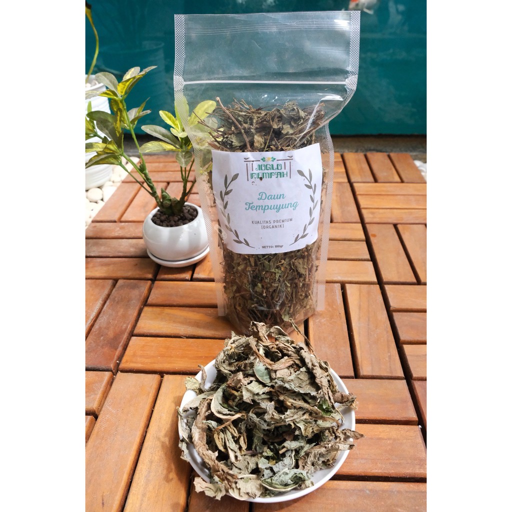 

Daun Tempuyung Kering Premium ( Organik ) - 100 gram
