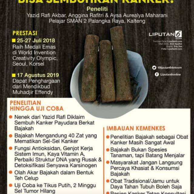 

Akar Bajakah ASLI Kalimantan