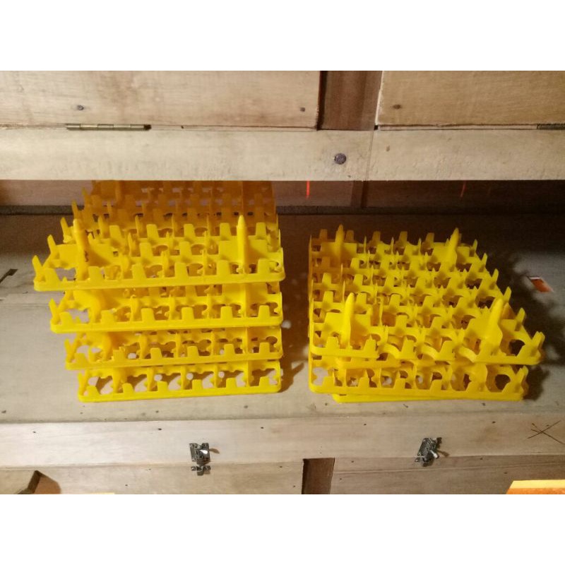 

Egg tray 36 breeding /penetasan /display besar