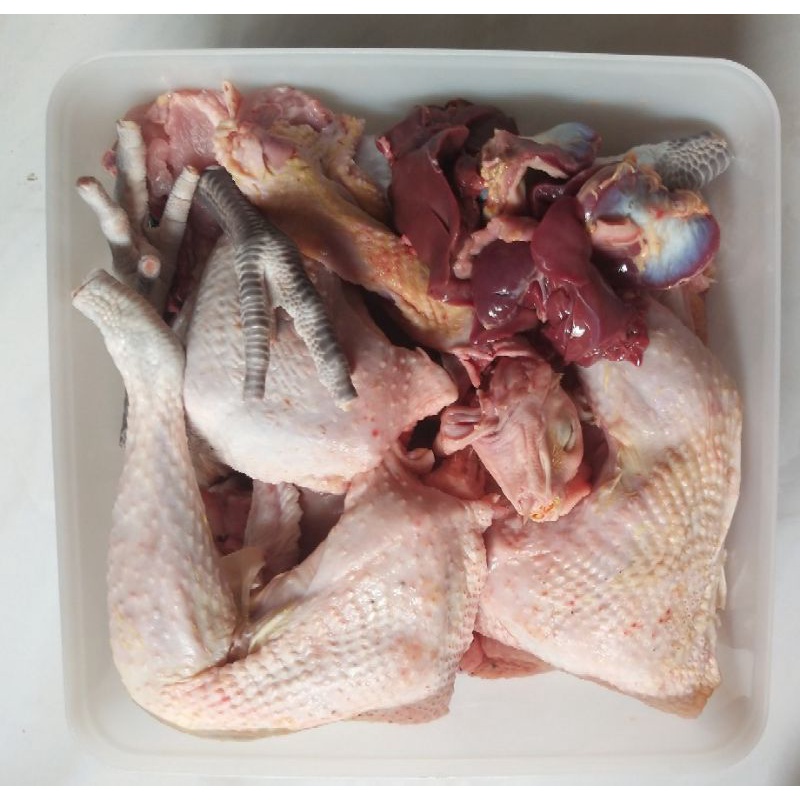 

Ayam Kampung Segar Berbagai Ukuran