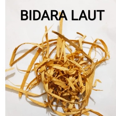 

BATANG BIDARA LAUT KERING/ STRYHNOS LUCIDA 1KG