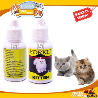 OBAT TETES TELINGA KUCING RADANG TELINGA BENGKAK INFEKSI KITTEN 