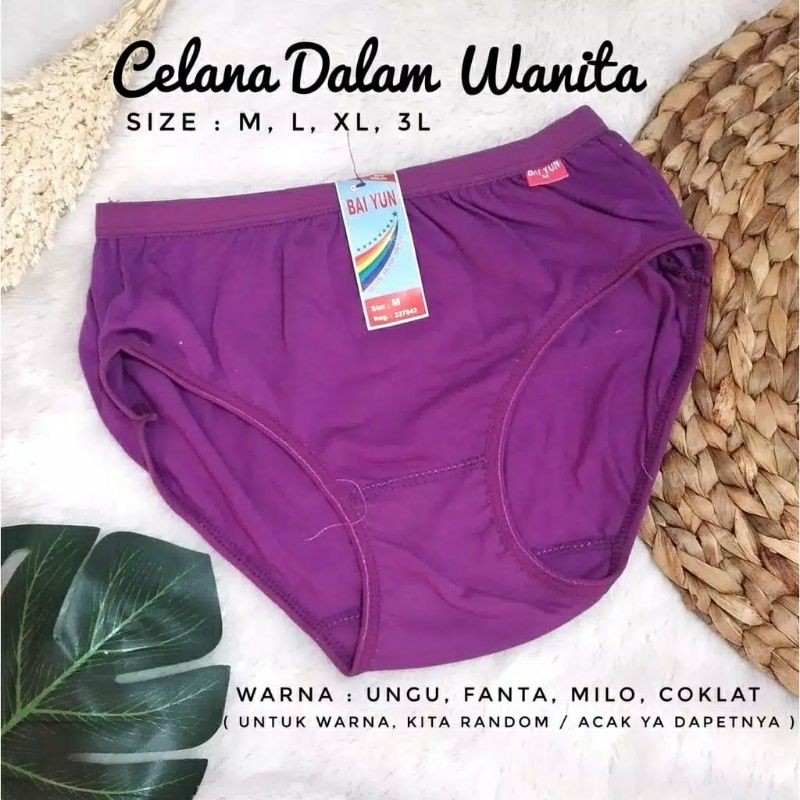 CELANA DALAM WANITA LUSINAN / CELANA DALAM WANITA LUSINAN MURAH / PAKET HEMAT 1 LUSIN CD WANITA BAIYUN-4