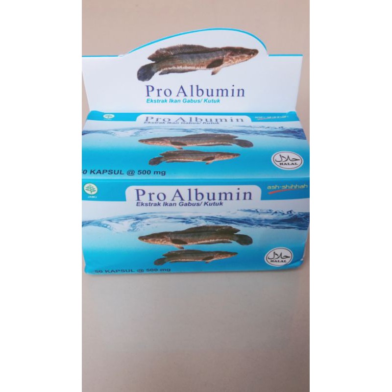 PRO ALBUMIN EKSTRAK IKAN GABUS / KUTUK