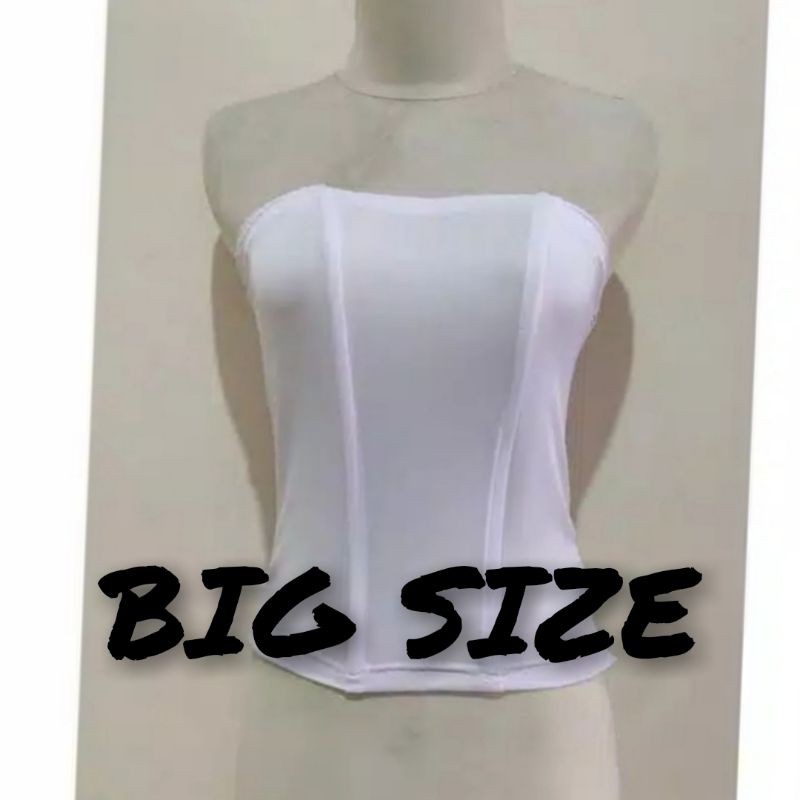 Longtorso Jumbo XXL  &amp;   XXXL Inner Kebaya