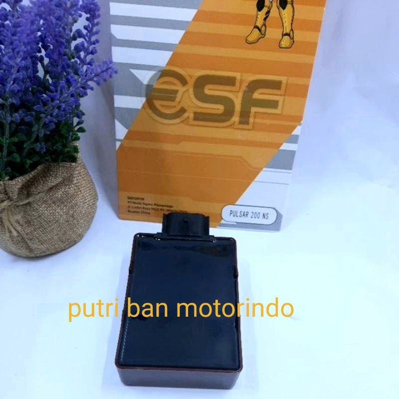 CDI PULSAR 200NS ESF
