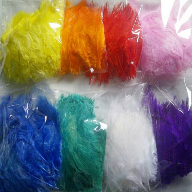 Bulu ayam warna warni hiasan aksesoris craft