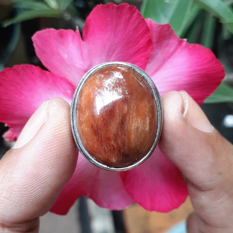 Batu Fosil Kayu Merah Kristal Langka