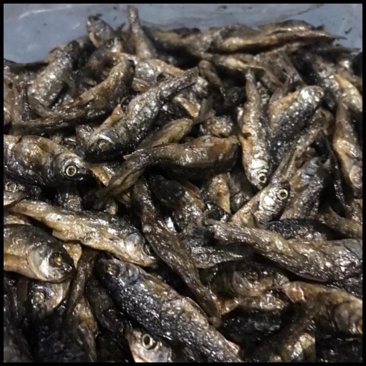 

Ikan Bilih Padang/ Bilih Singkarak 1Kg