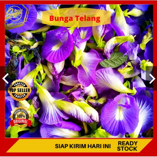 

Bunga Telang Kering Murah 250G
