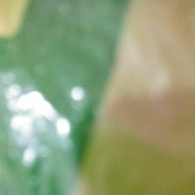 Spuit Piping Dengan Bahan Stainless Steel Dan Ukuran Besar Untuk Hiasan Kue