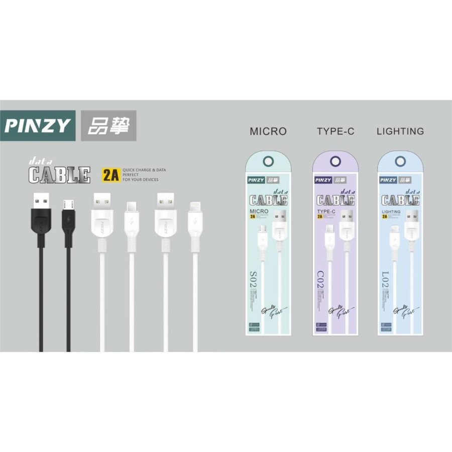 Kabel Data PINZY C02 USB Type C Output 2A Fast Charging Panjang 1m